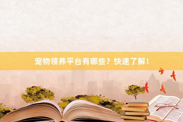 宠物领养平台有哪些？快速了解！
