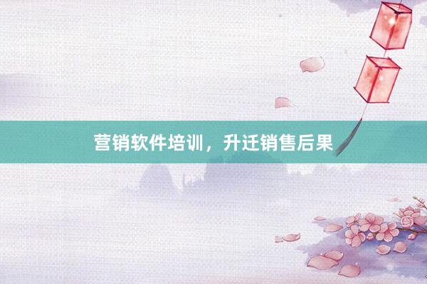 营销软件培训，升迁销售后果